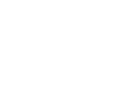 logo isg
